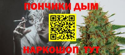 Альфа ПВП Обь