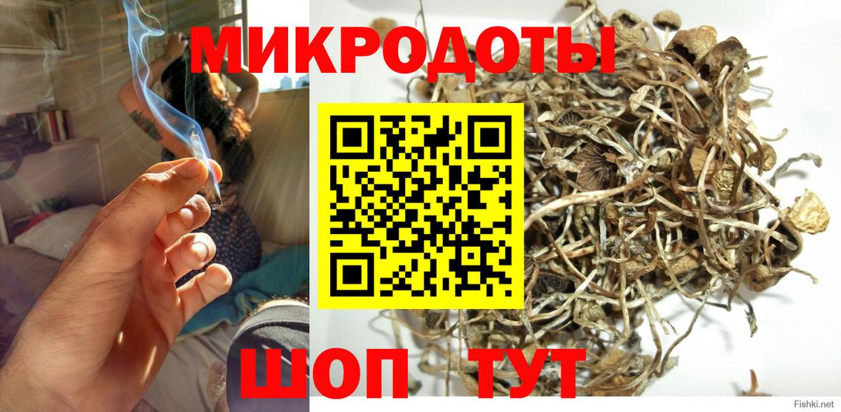 Галлюциногенные грибы мицелий Стрежевой