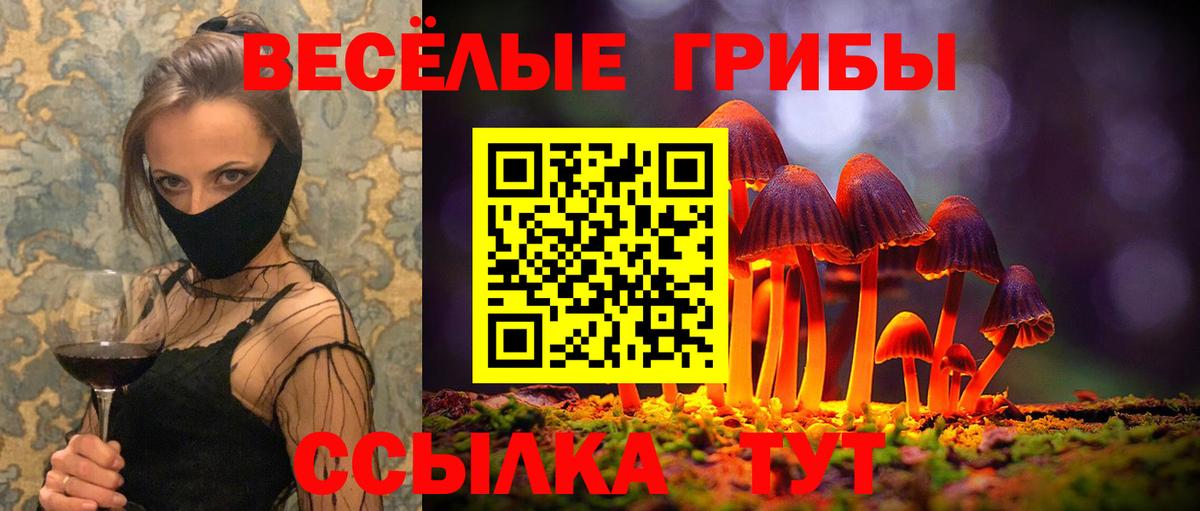 Псилоцибиновые грибы MAGIC MUSHROOMS  Вход с VPN  Стрежевой 